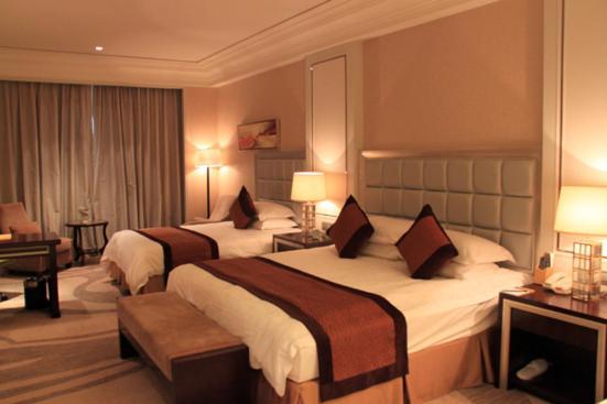 Landison Green Town Hotel Xinchang Camera foto